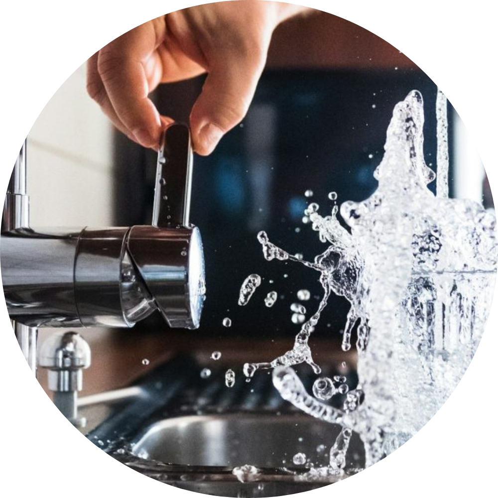 Mikrobielle Sanierung